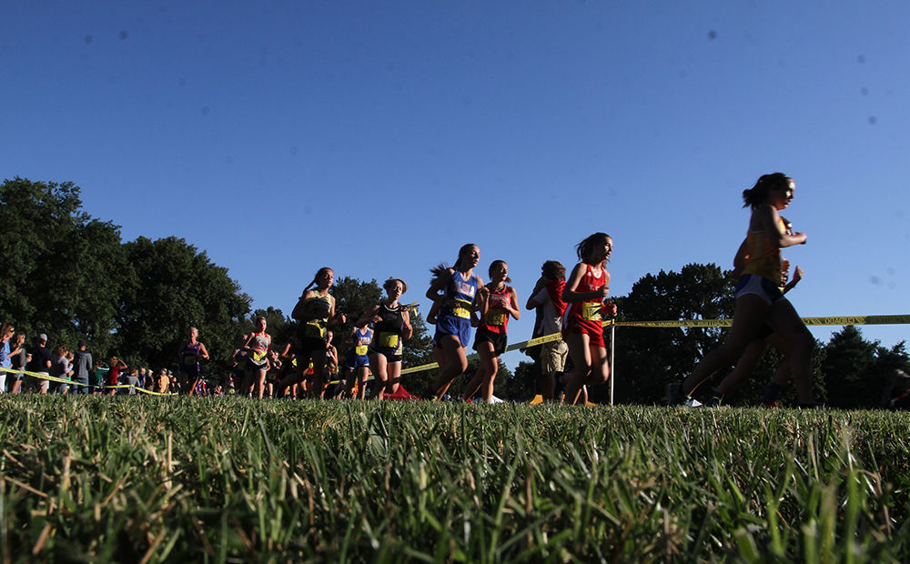 Forest Park Cross Country Festival